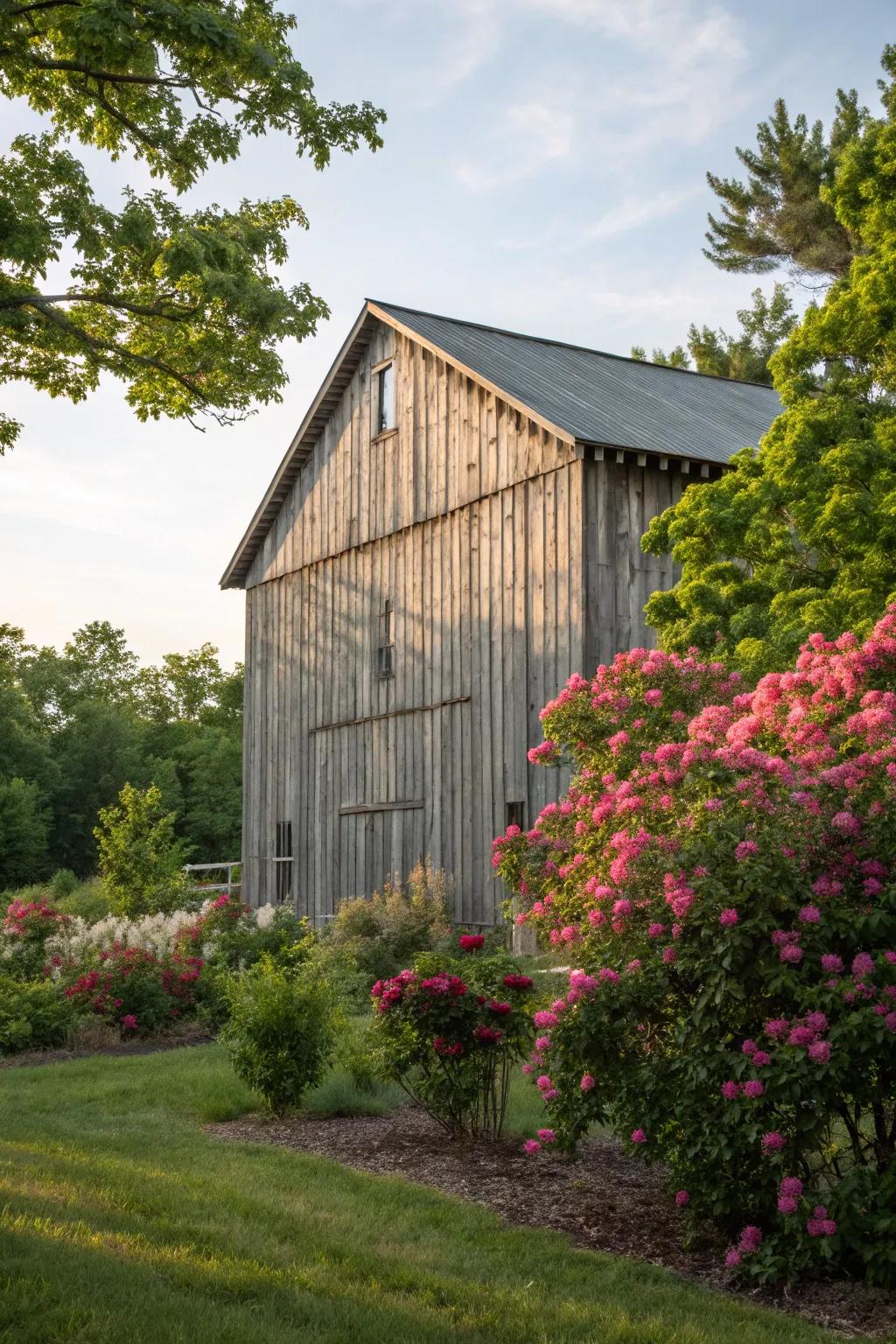 A barn showcases traditional board and batten siding amidst a lush, green setting.