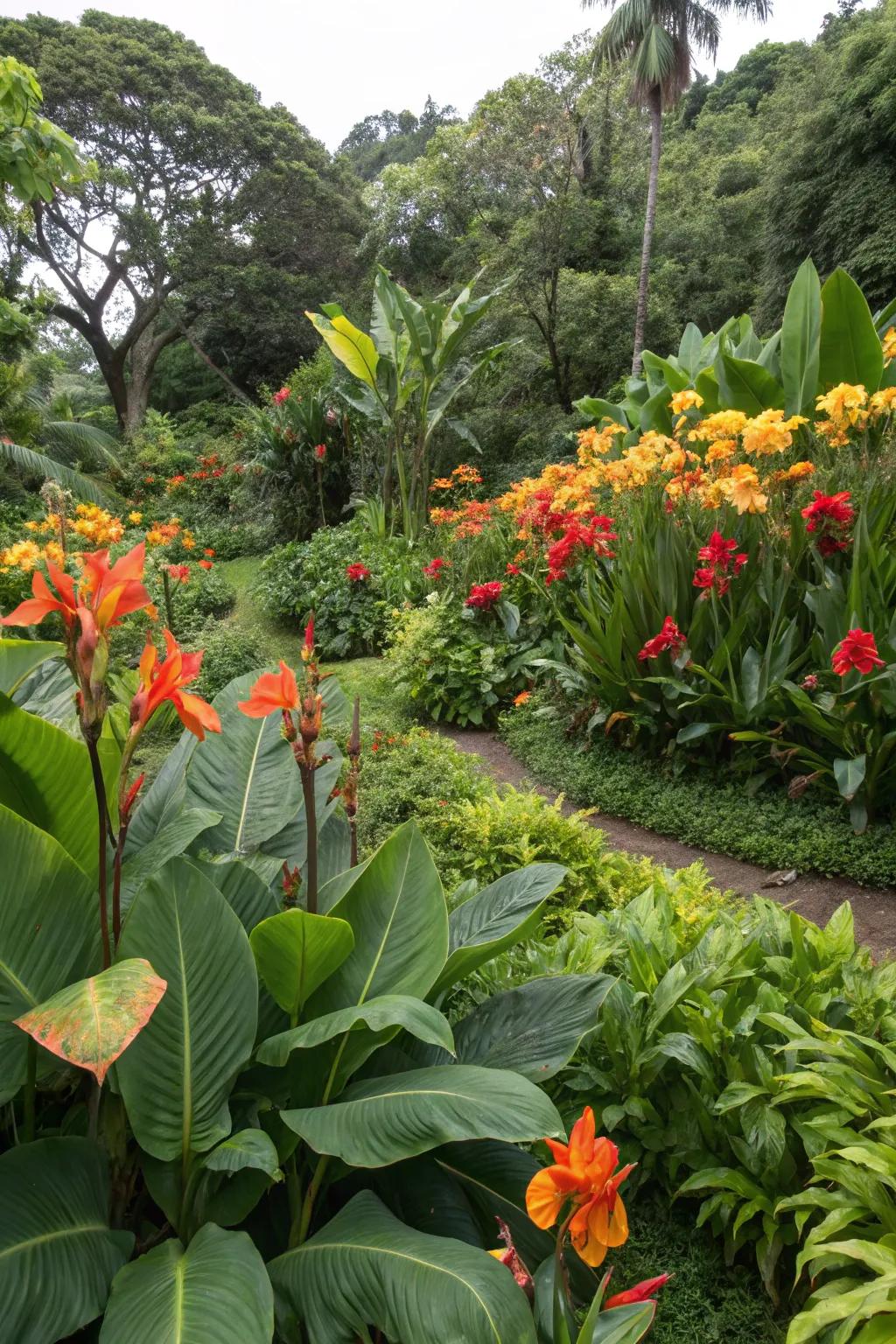 A backyard haven showcasing tropical plants, including bloomsticks lilies.