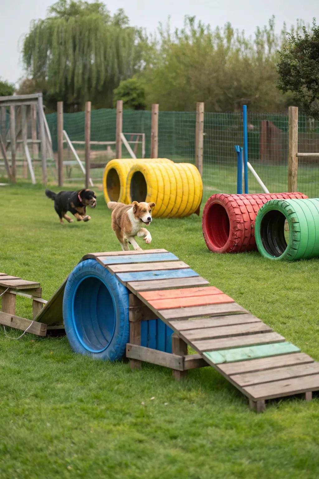 A fun DIY agility space made with inexpensive materials.