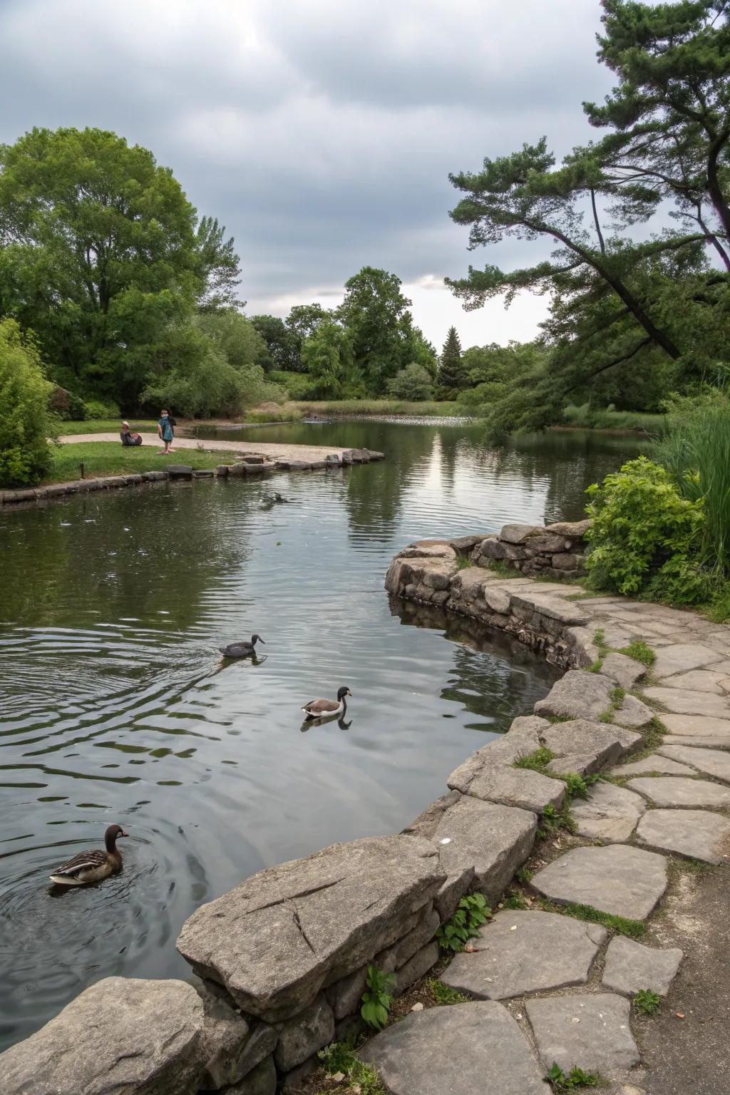The earthy appeal of natural stone borders framing a duck pond.