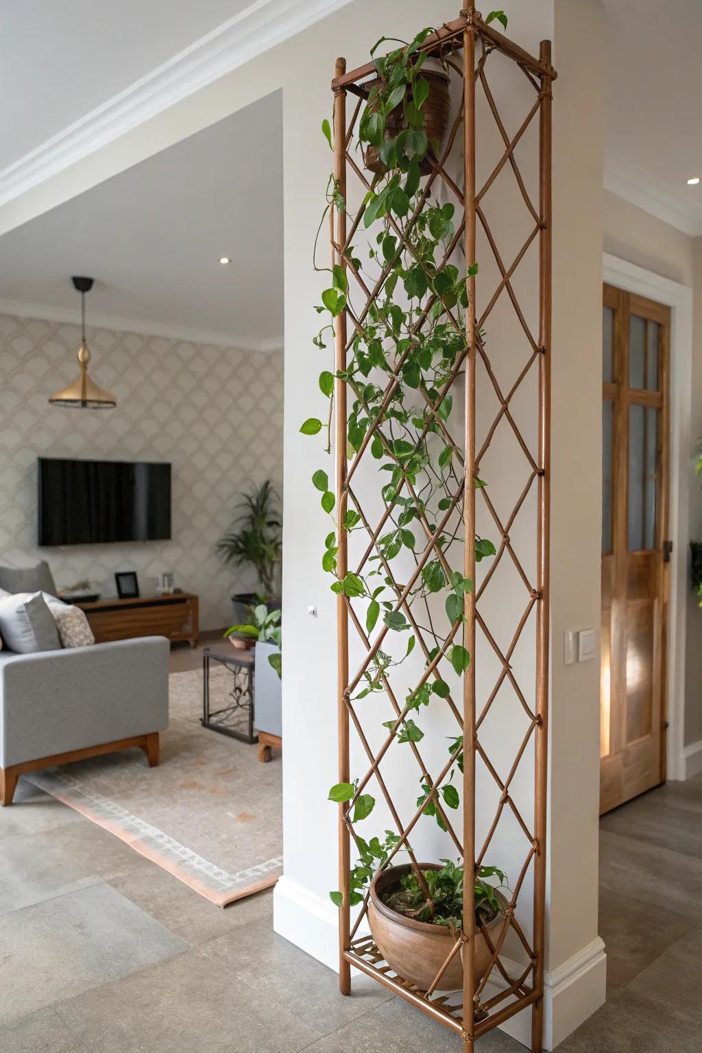 A contemporary living space showcases a Sweetheart plant thriving on a bronze trellis, exuding sophistication.
