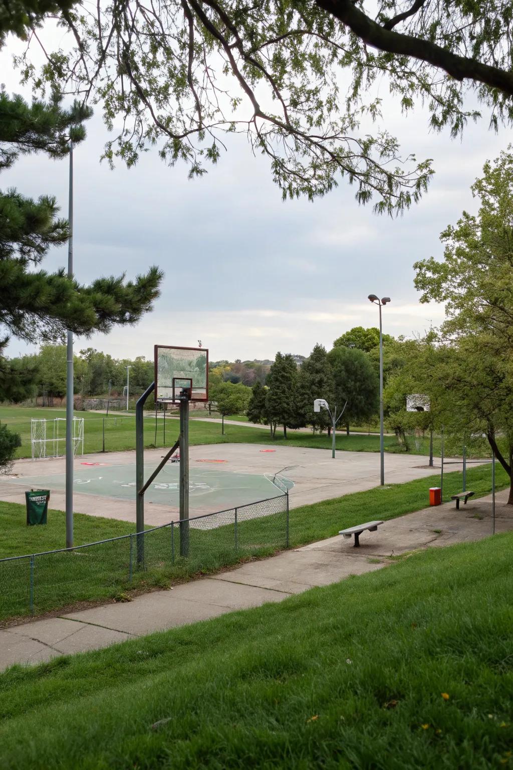 A fun sports area for fitness in the backyard.