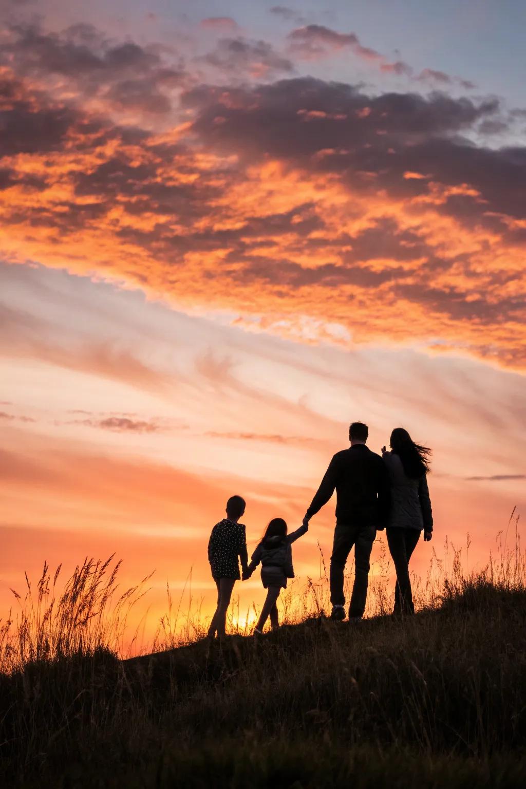 Silhouette captures extend a timeless and artistic family picture.