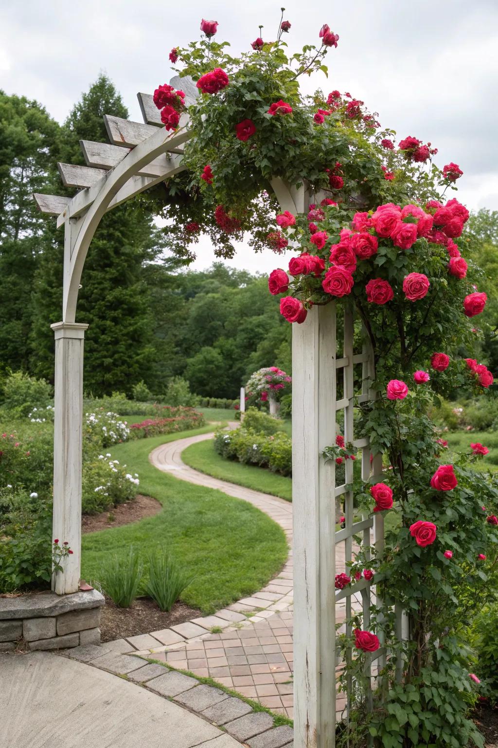 Create a dreamy entry with a knockout rose archway.