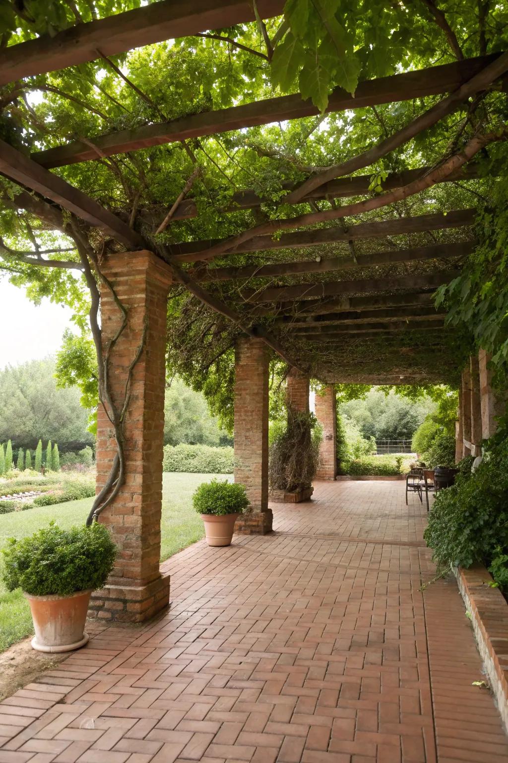 An arbor with vines fashions a natural canopy over the patio