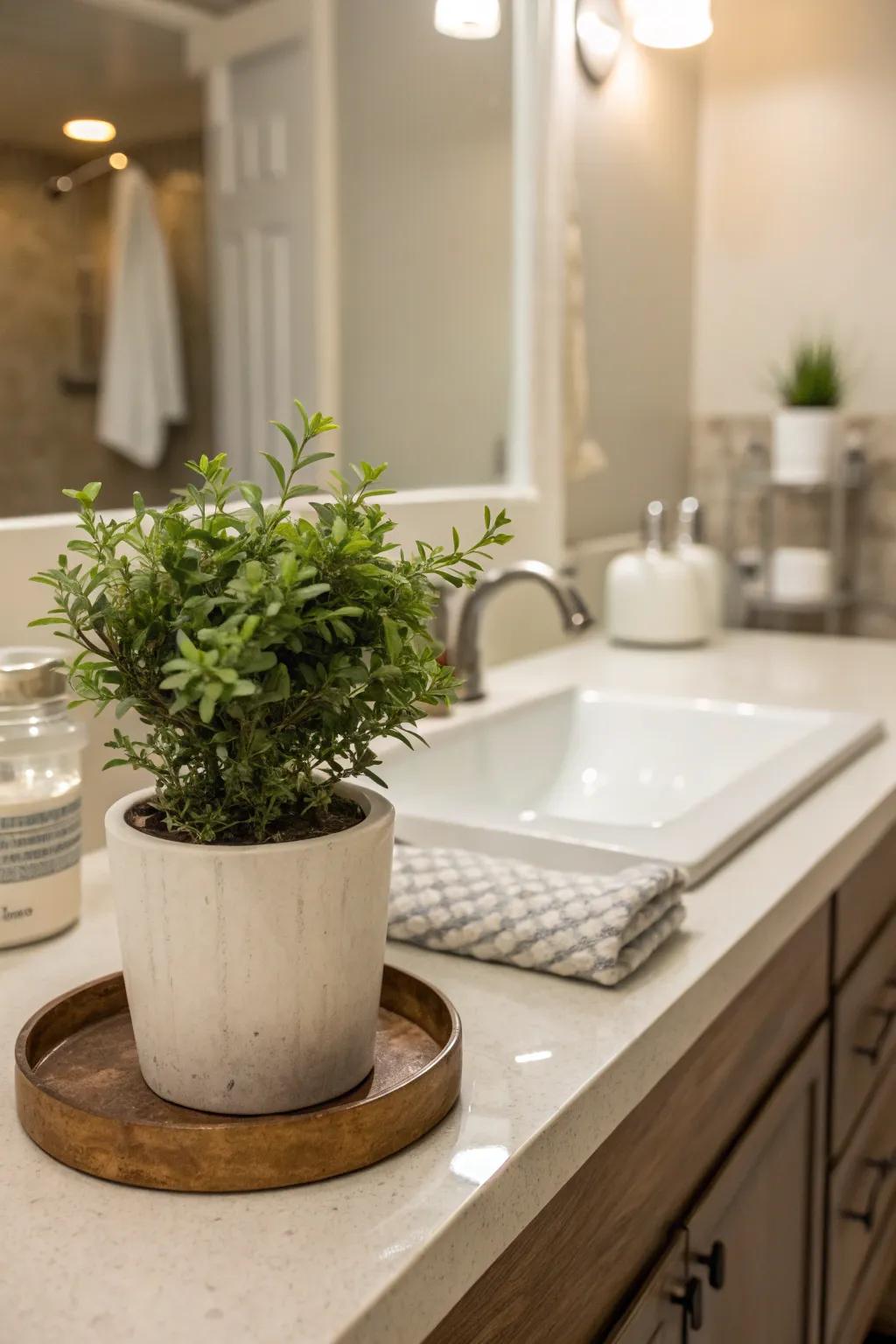 A hint of foliage can metamorphose your bathroom into a revitalizing haven.