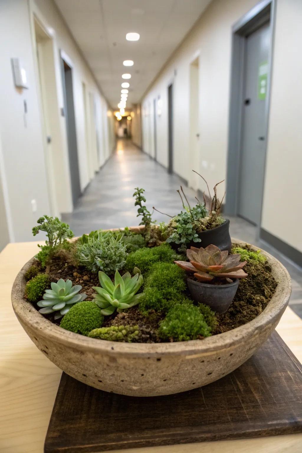 A playful miniature garden in your dwelling