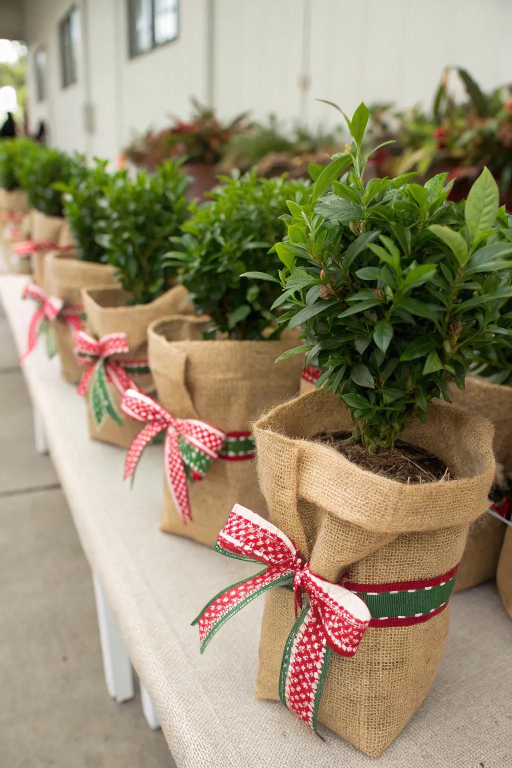 Burlap offers a charming, rustic touch to your displays.