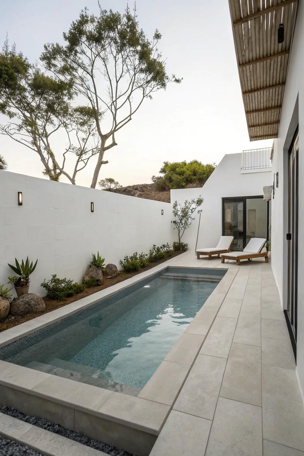A minimalist plunge pool for a modern backyard.