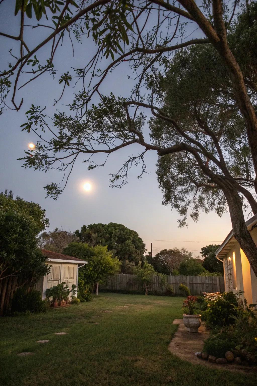 Simulated moonlight establishes an ethereal shine across open-air spaces.