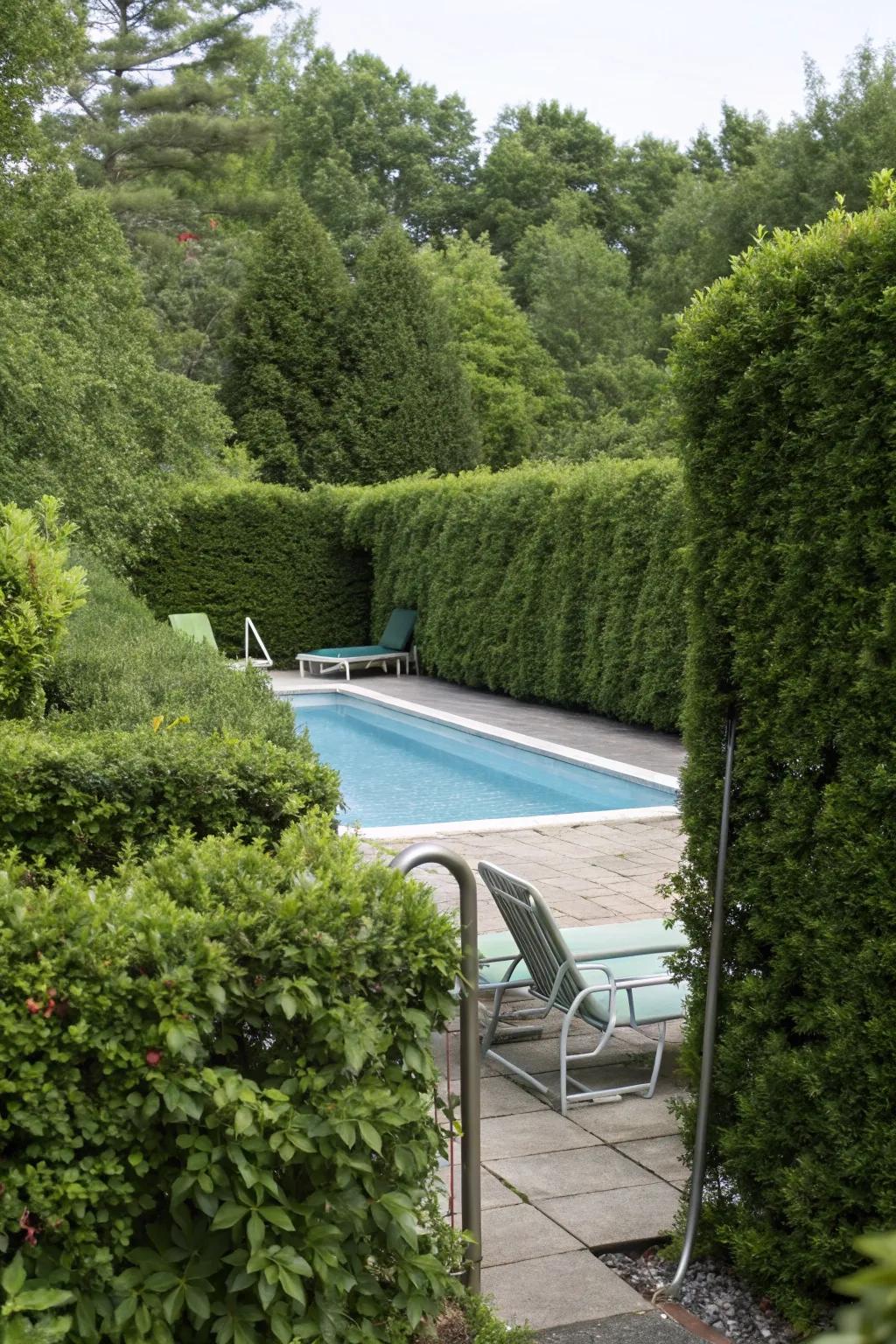Barriers and bushes offer year-round coverage and seclusion for pool equipment.