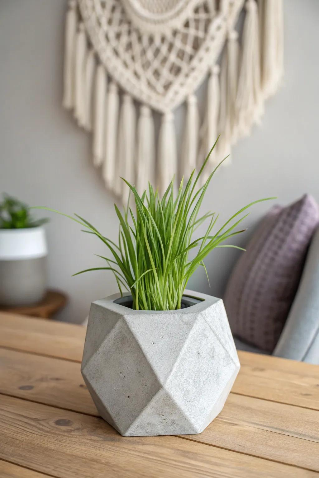 Highlight your space with a geometric stone planter and beautiful Verdant Stalk.