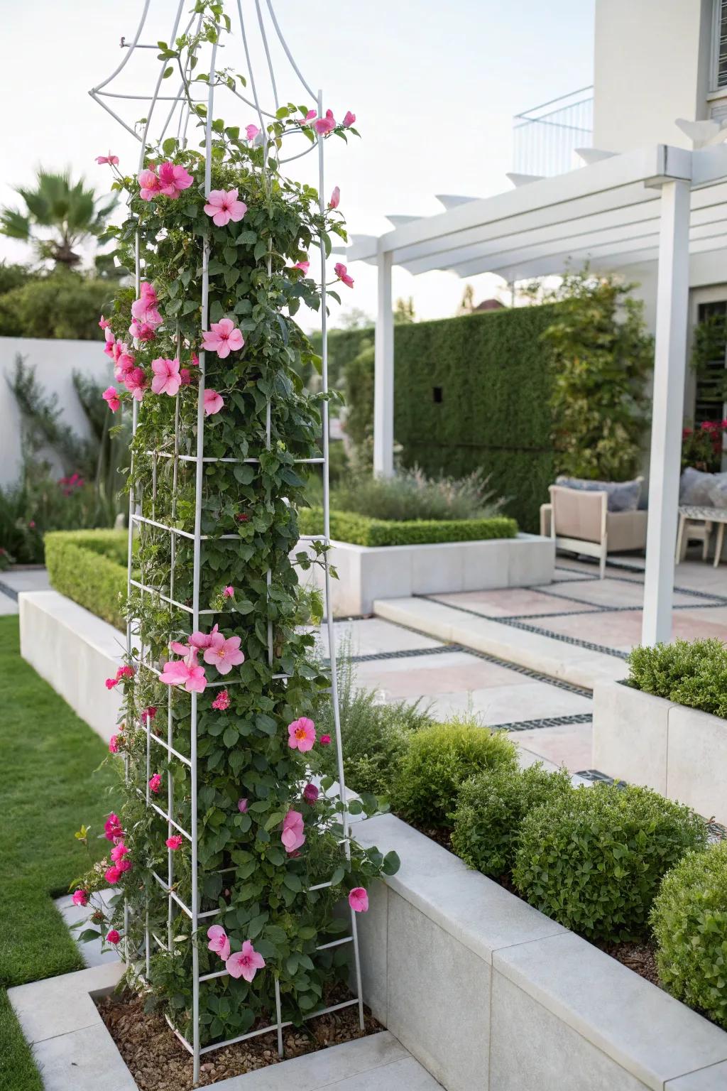 A sleek wire trellis provides modern support for tropical trumpet in a minimalist garden.