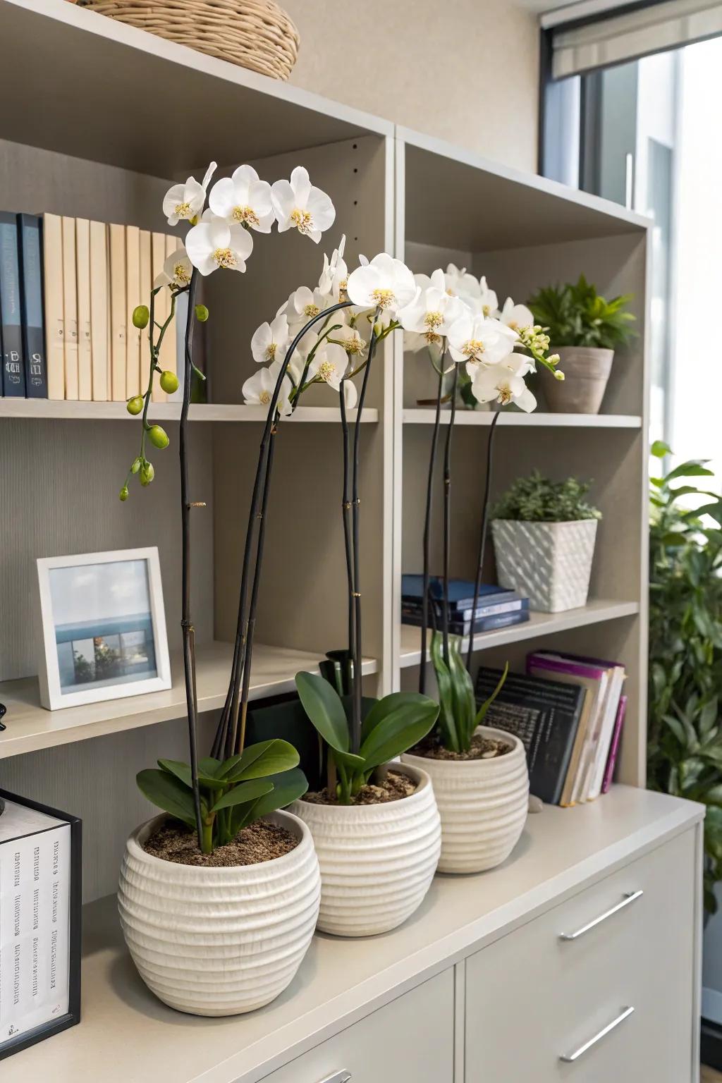 Enhance charm with delicate lily blossoms.
