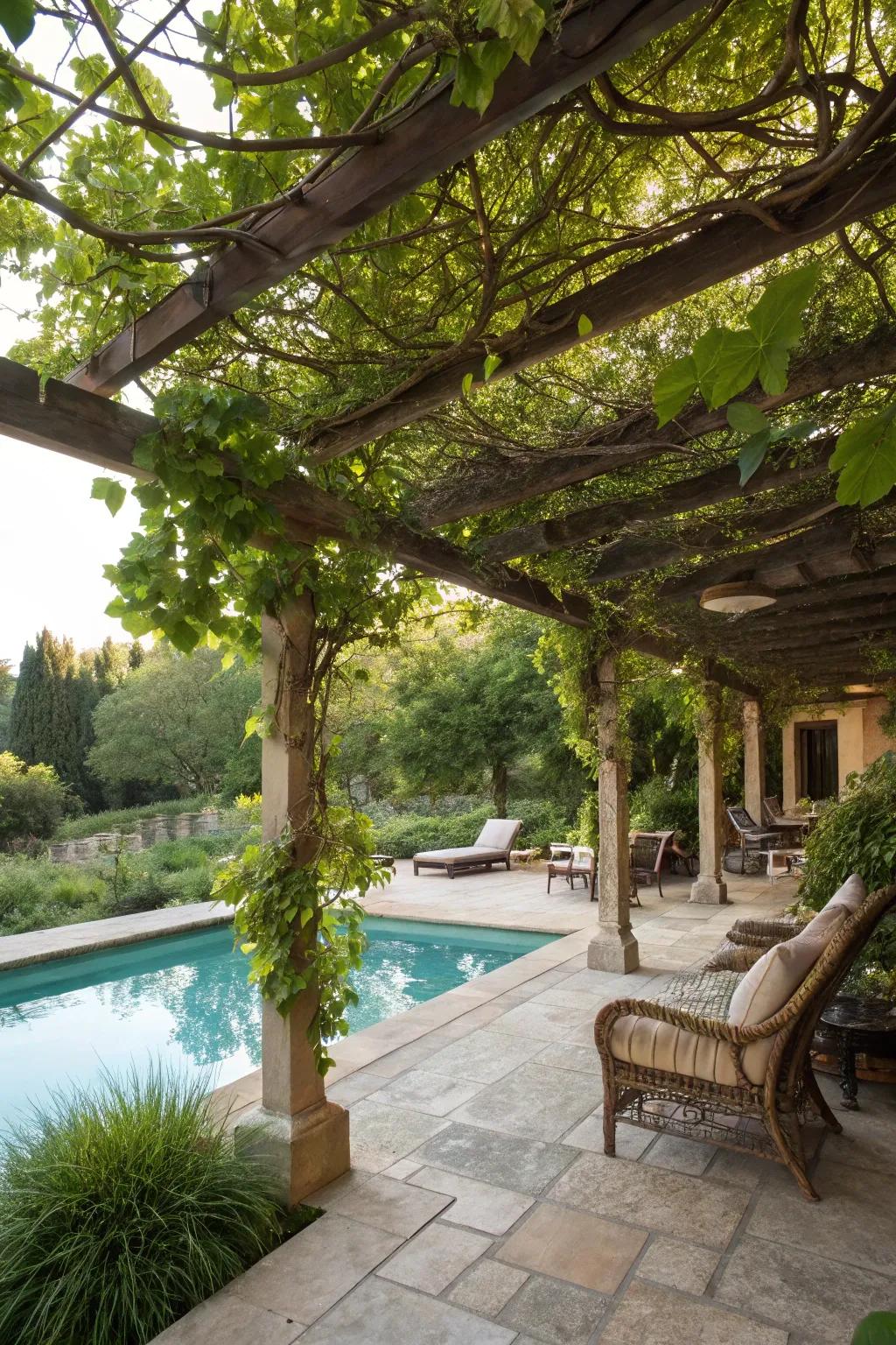 Your patio gains shade and beauty from a vine-covered arbor.