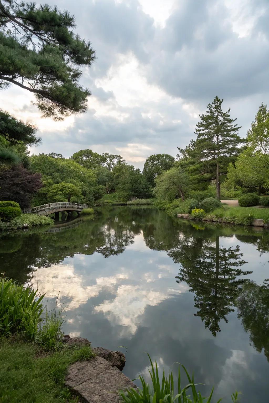 Still water mirrors develop tranquil reflections.
