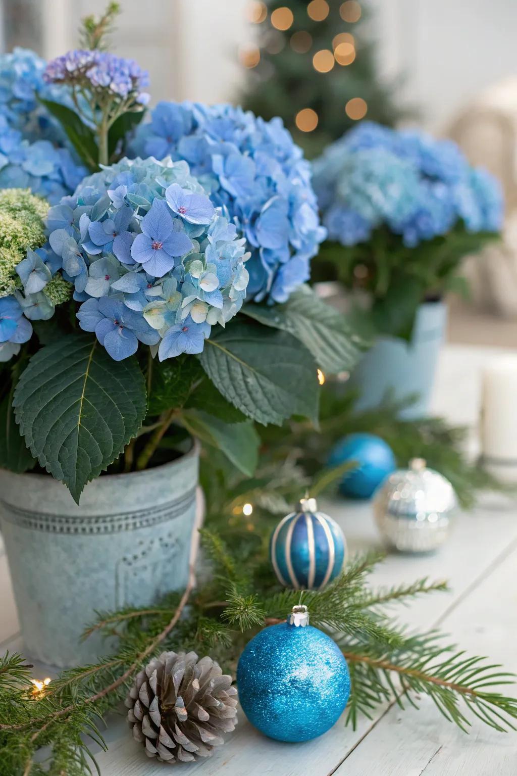 Seasonal accents add cheer to azure hydrangeas.