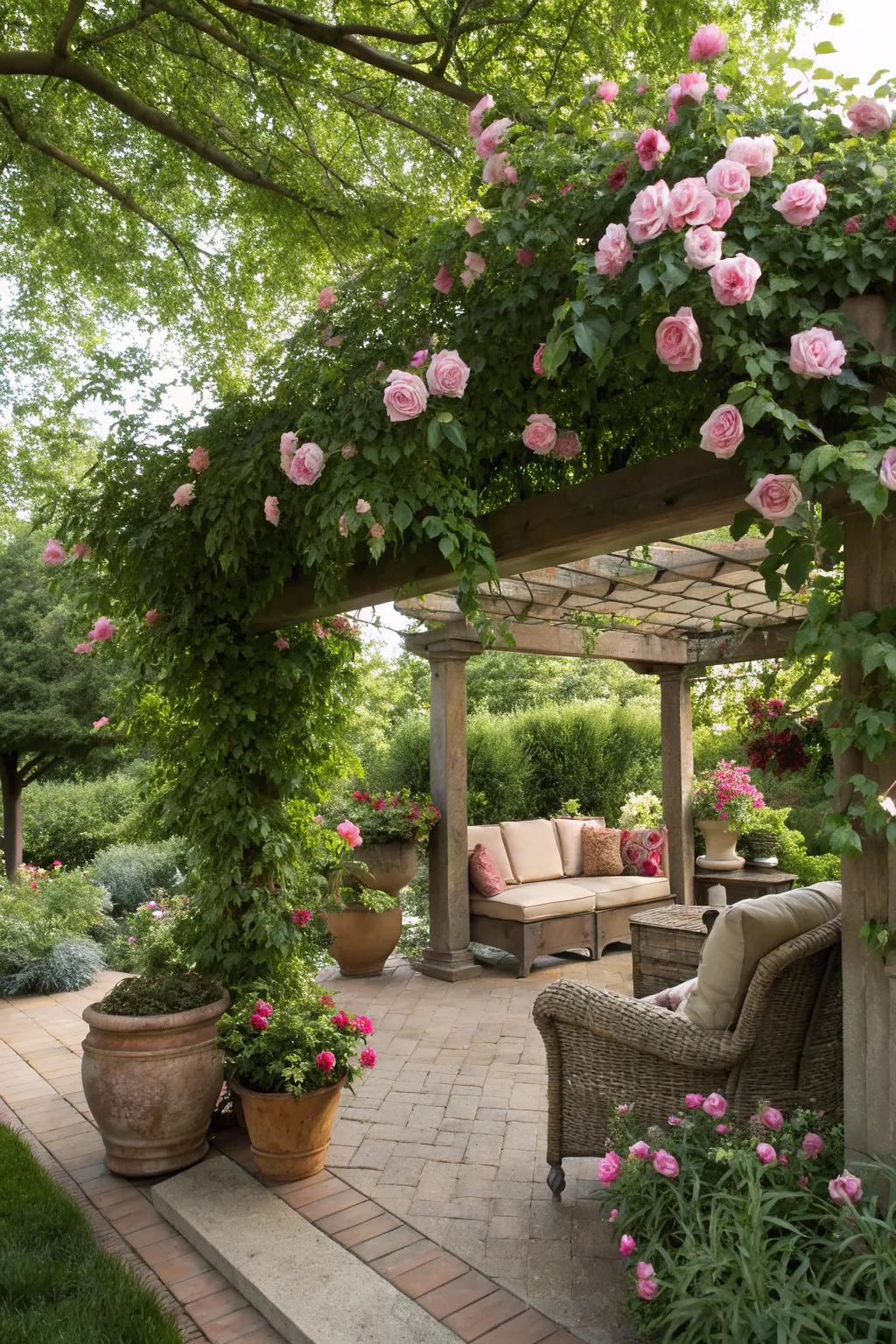 An alluring overhead arbor introduces framework and splendor to the garden.