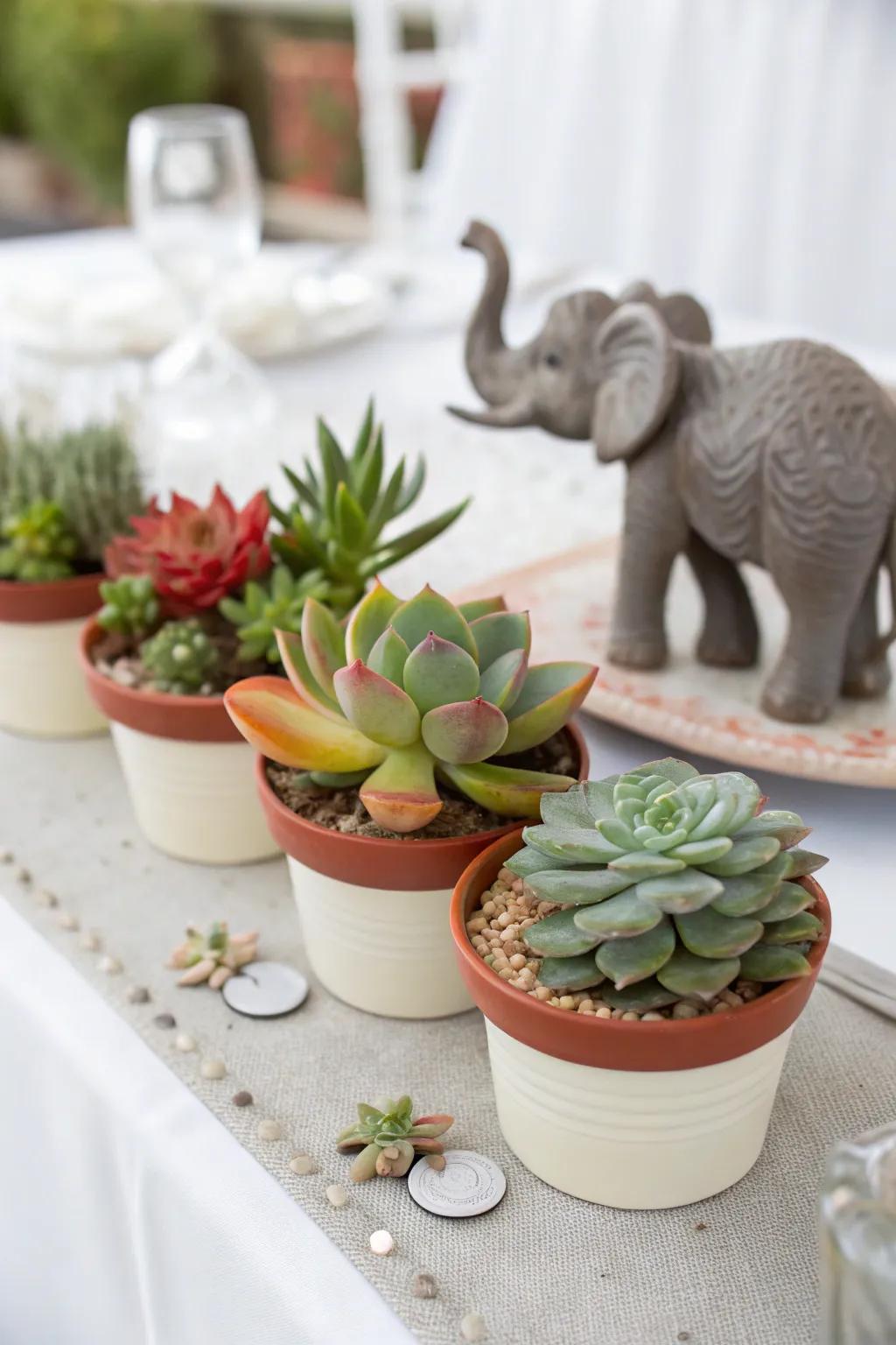 Fashionable elephant and succulent centerpiece.