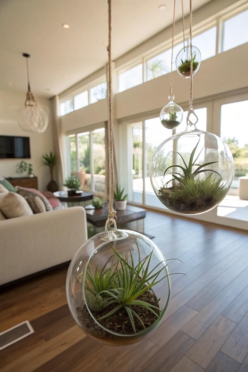 Aerial flora offering a modern and playful interior design impression.