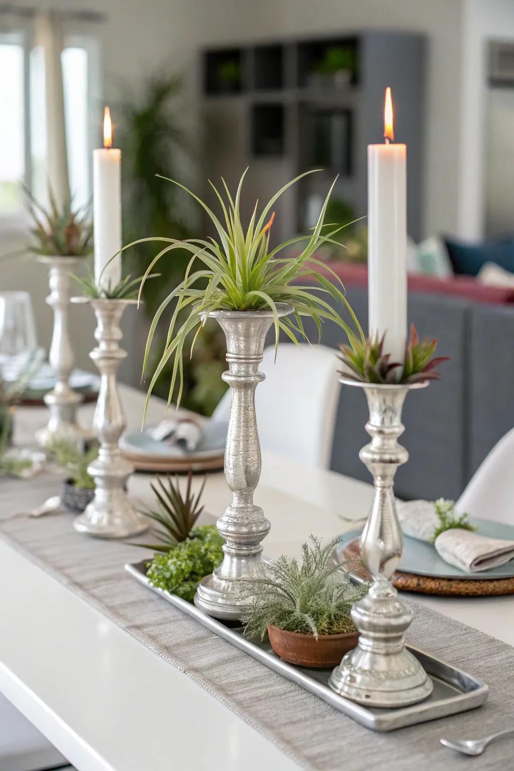 Air plants adorning light stand cradles for a chic accent.