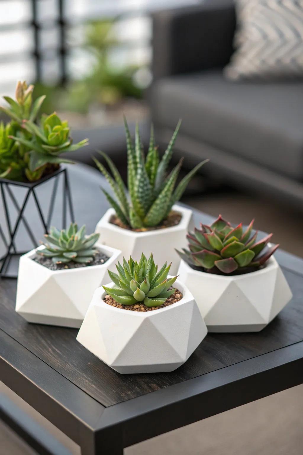 Install shaped planters to give off a modern vibe.