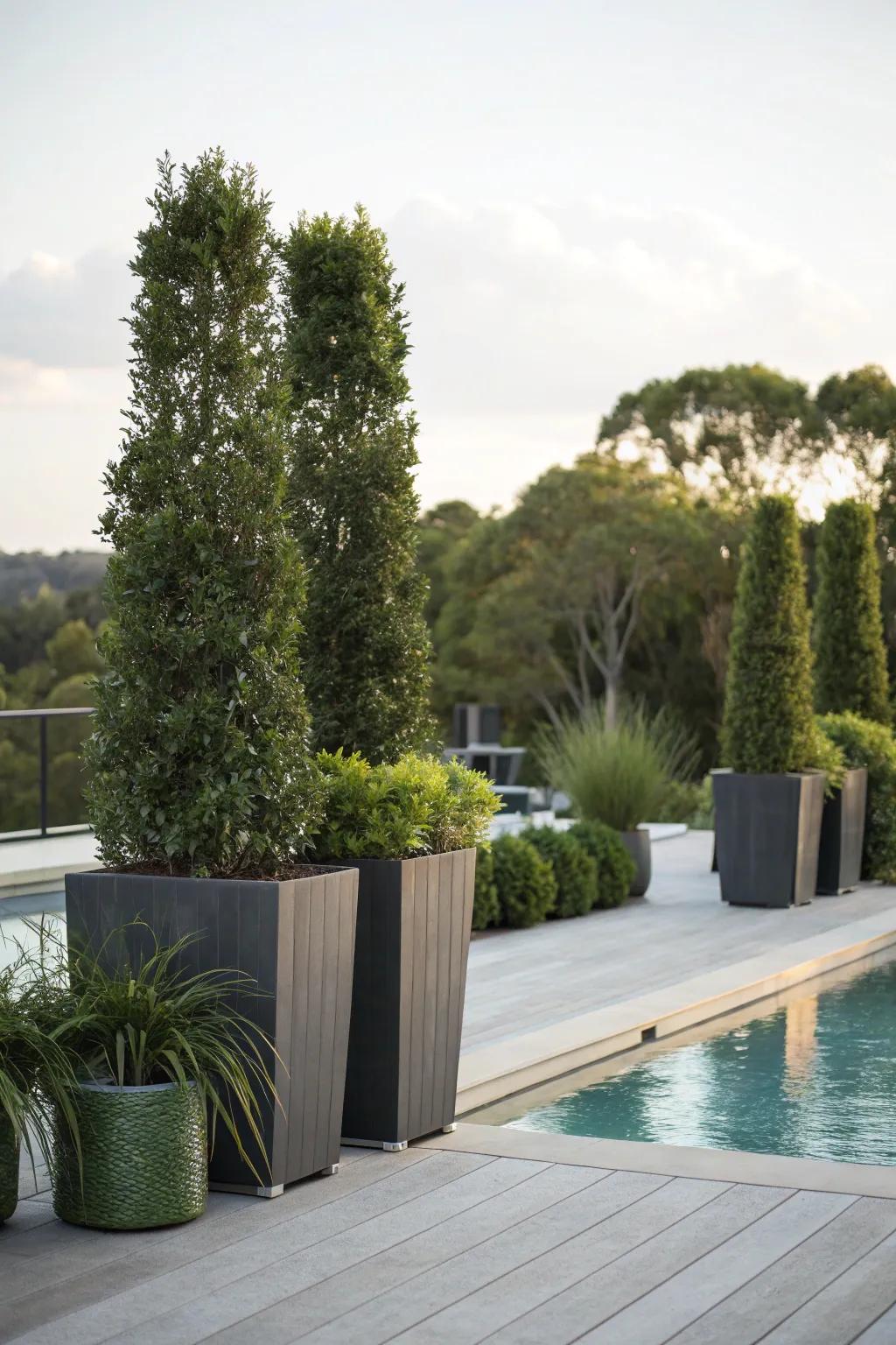 Tall planters provide privacy while adding to the greenery of the pool area.