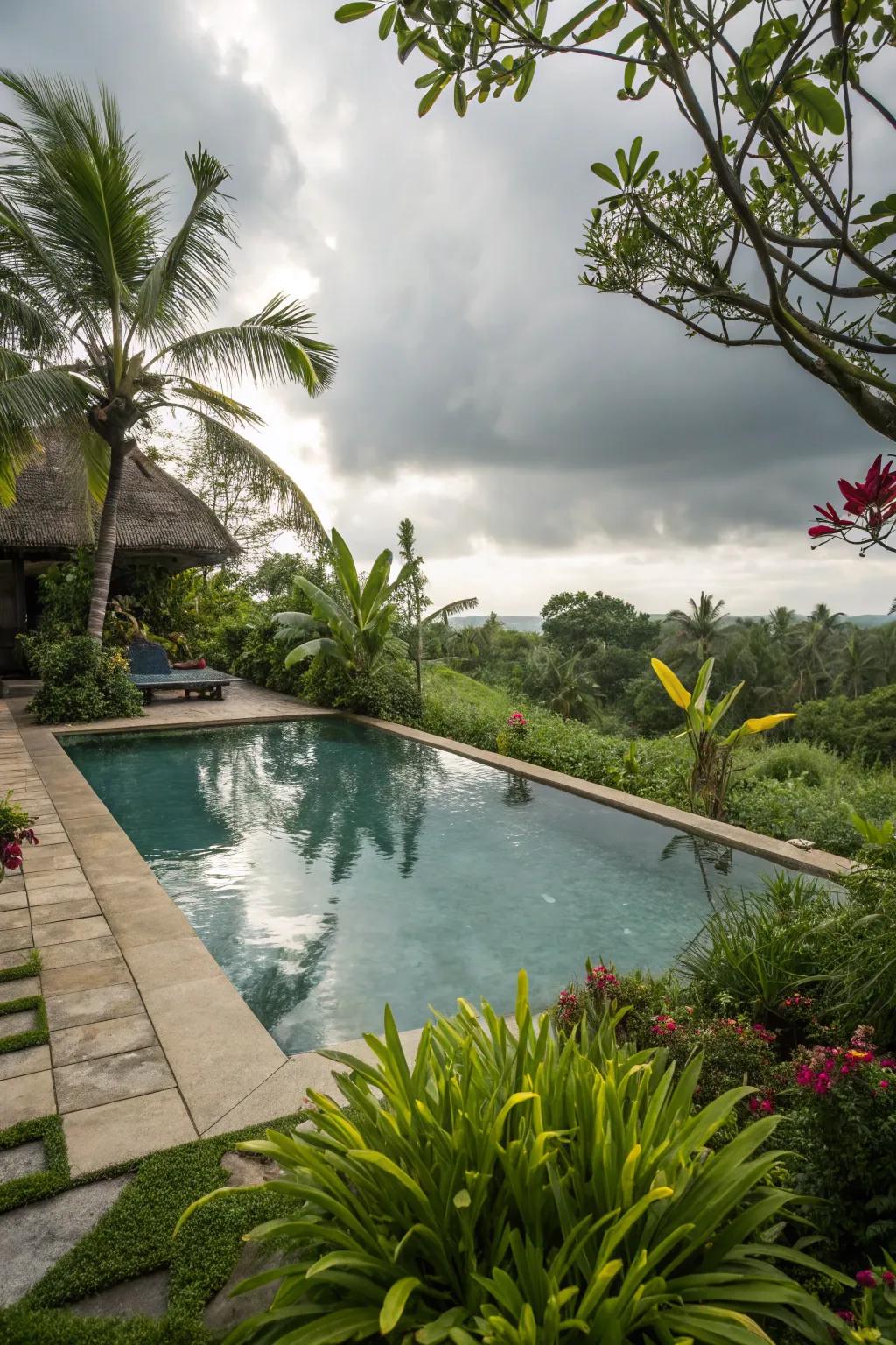 A pool beautifully enveloped by lush, verdant foliage.