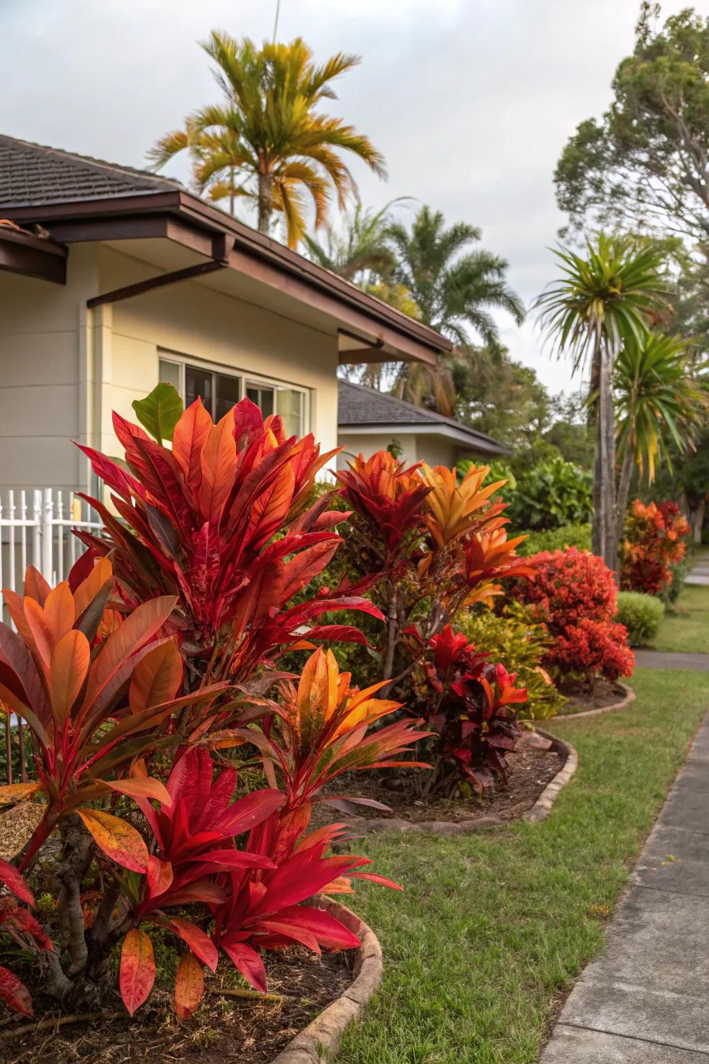 Bold plant collections fashion striking visual interest.