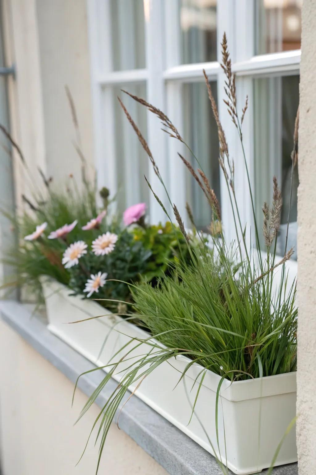 A streamlined minimalist vista showcasing grasses and understated blooms.