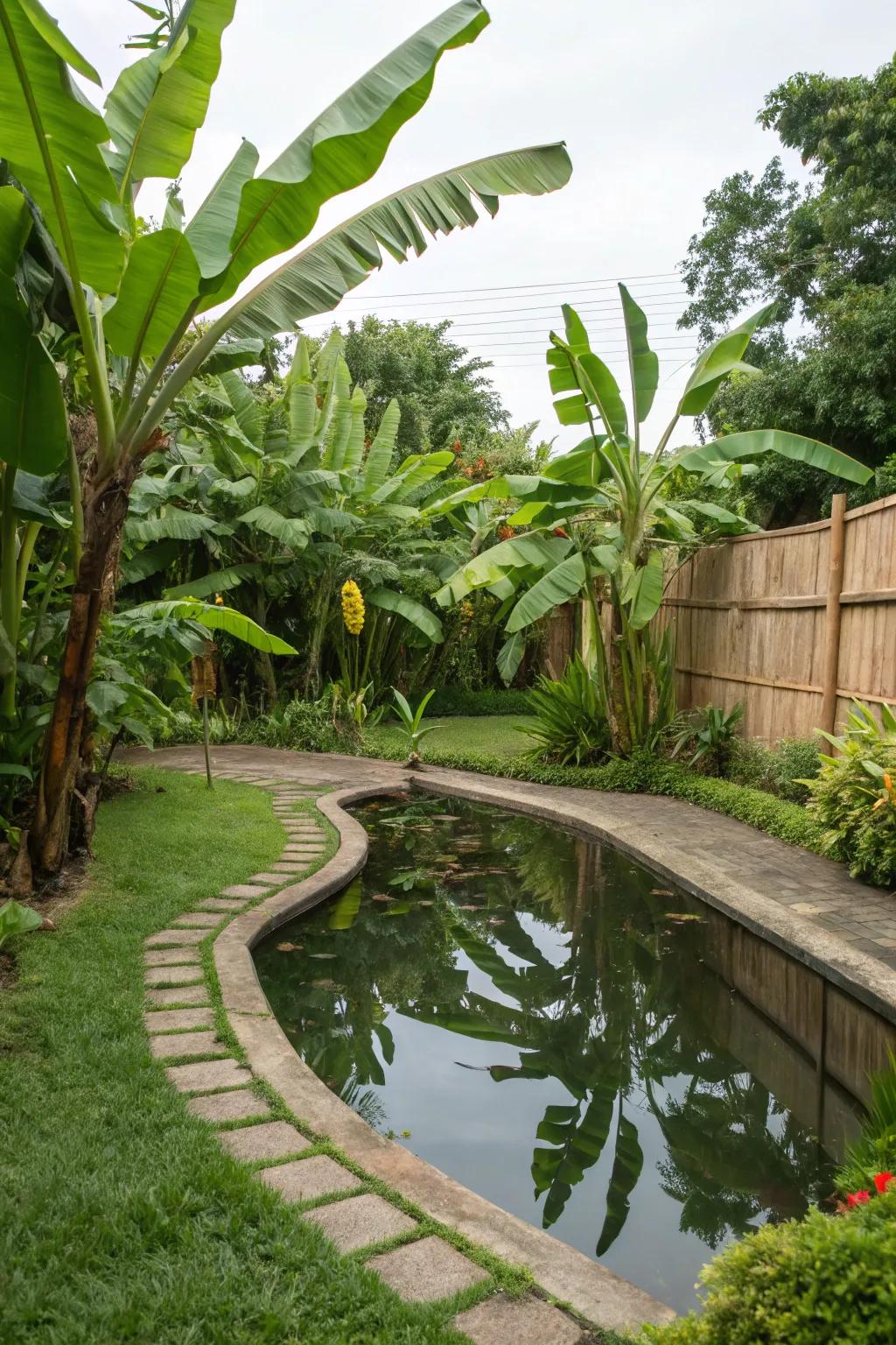 Upgrade your water garden with banana trees for a rich tropical sensation.