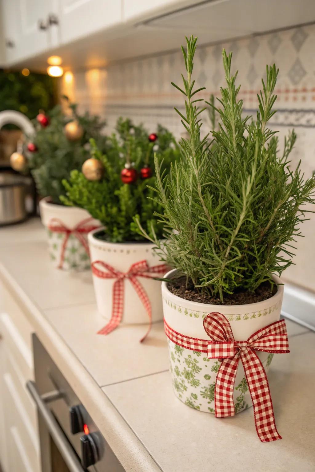 Holiday herbs enrich the cooking space through fragrance and charm.