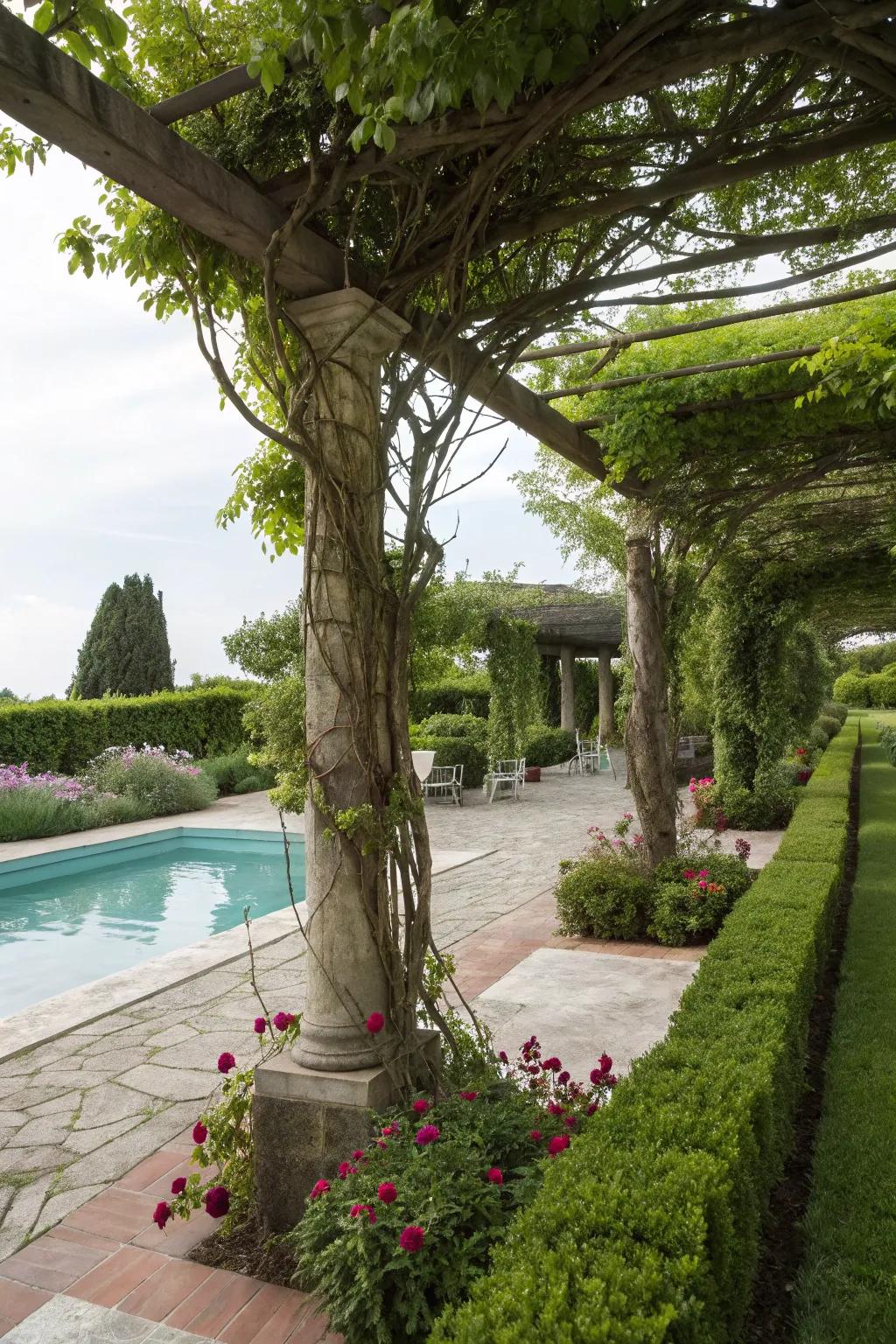 Overhangs and arbors add upright interest while cleverly hiding equipment.