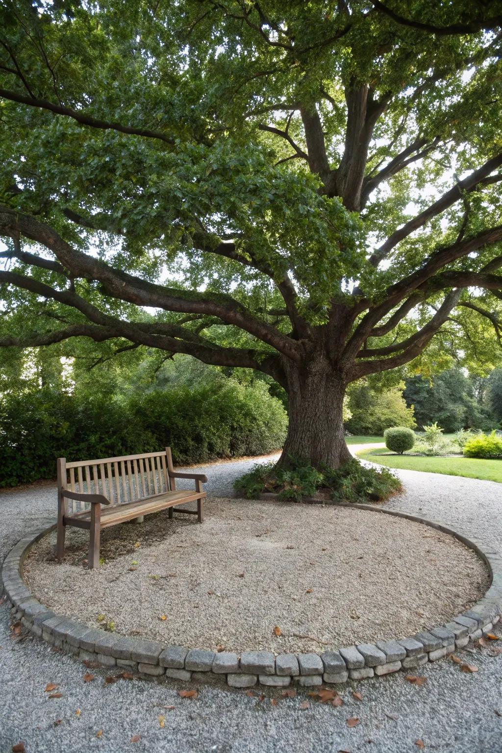 A decorative circle accentuating a majestic tree.