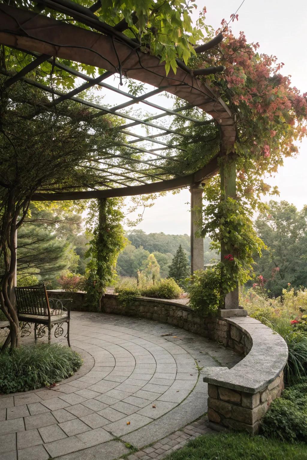 A trellis canopy offers shade and a framework for climbing flora.