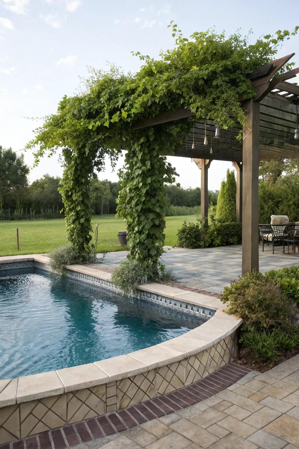 A semi-inground pool enhanced by a charming pergola for shade and seclusion.