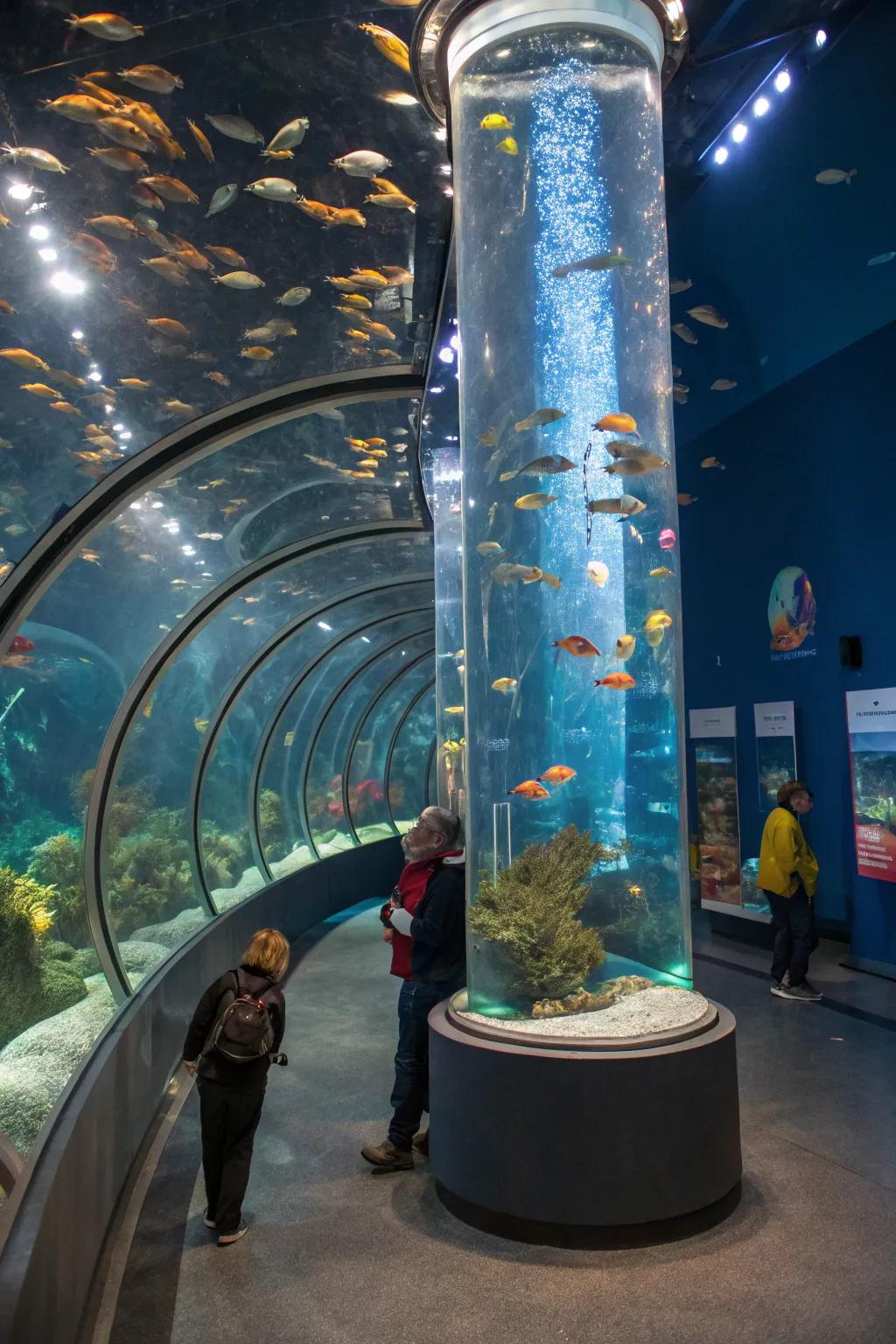 An interactive engagement conceived inside a towering aquarium.