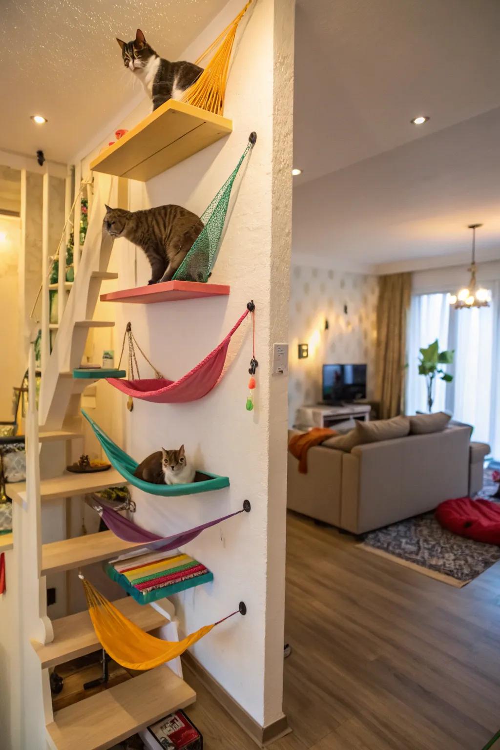 Interactive cat walls encouraging boundless diversion.