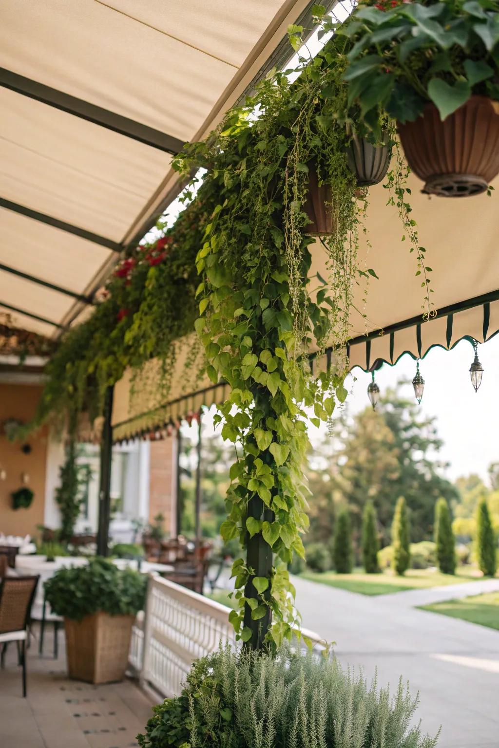 Suspended flora adds a natural and vibrant element to shades.