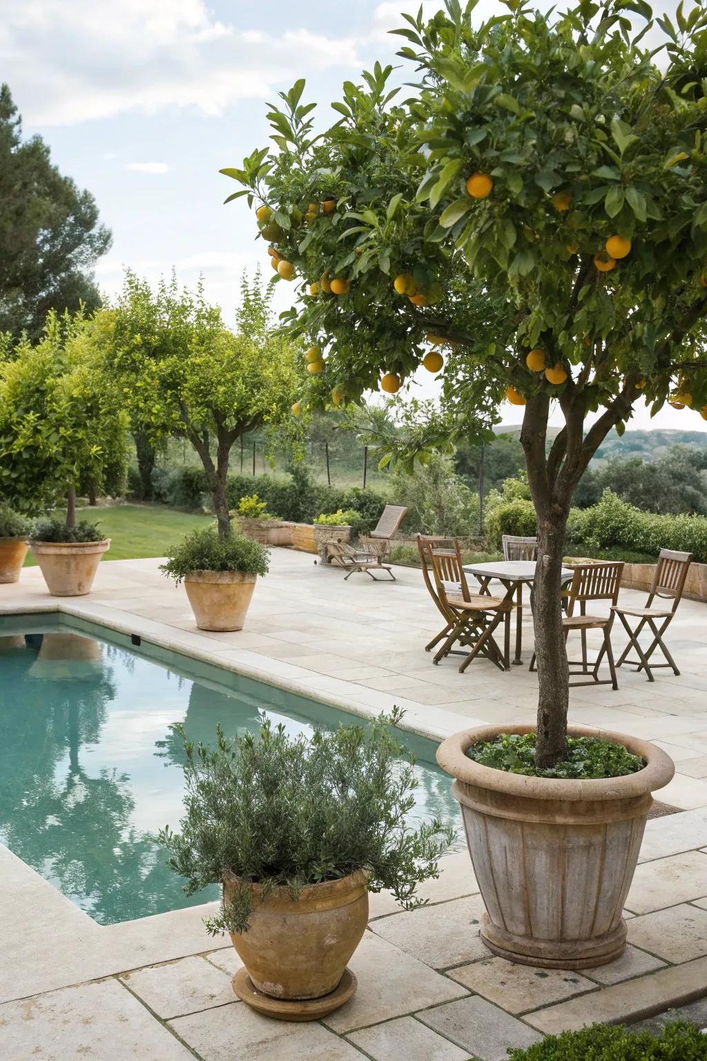 Add a refreshing touch with fruit trees near the pool.
