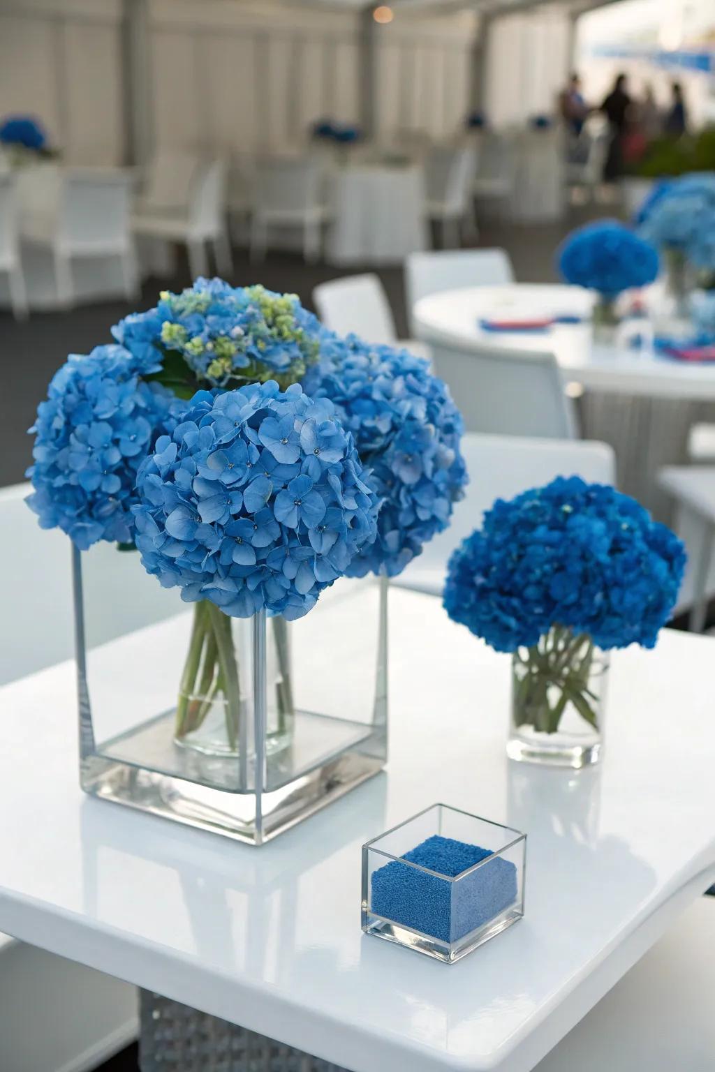 A color block of azure hydrangeas adds a modern aesthetic.