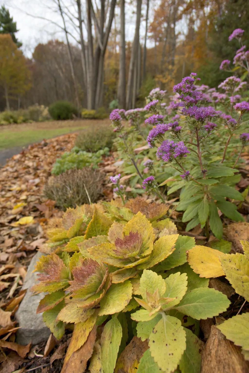 Russet crest and flutter flower bring a hint of autumn's enchantment.
