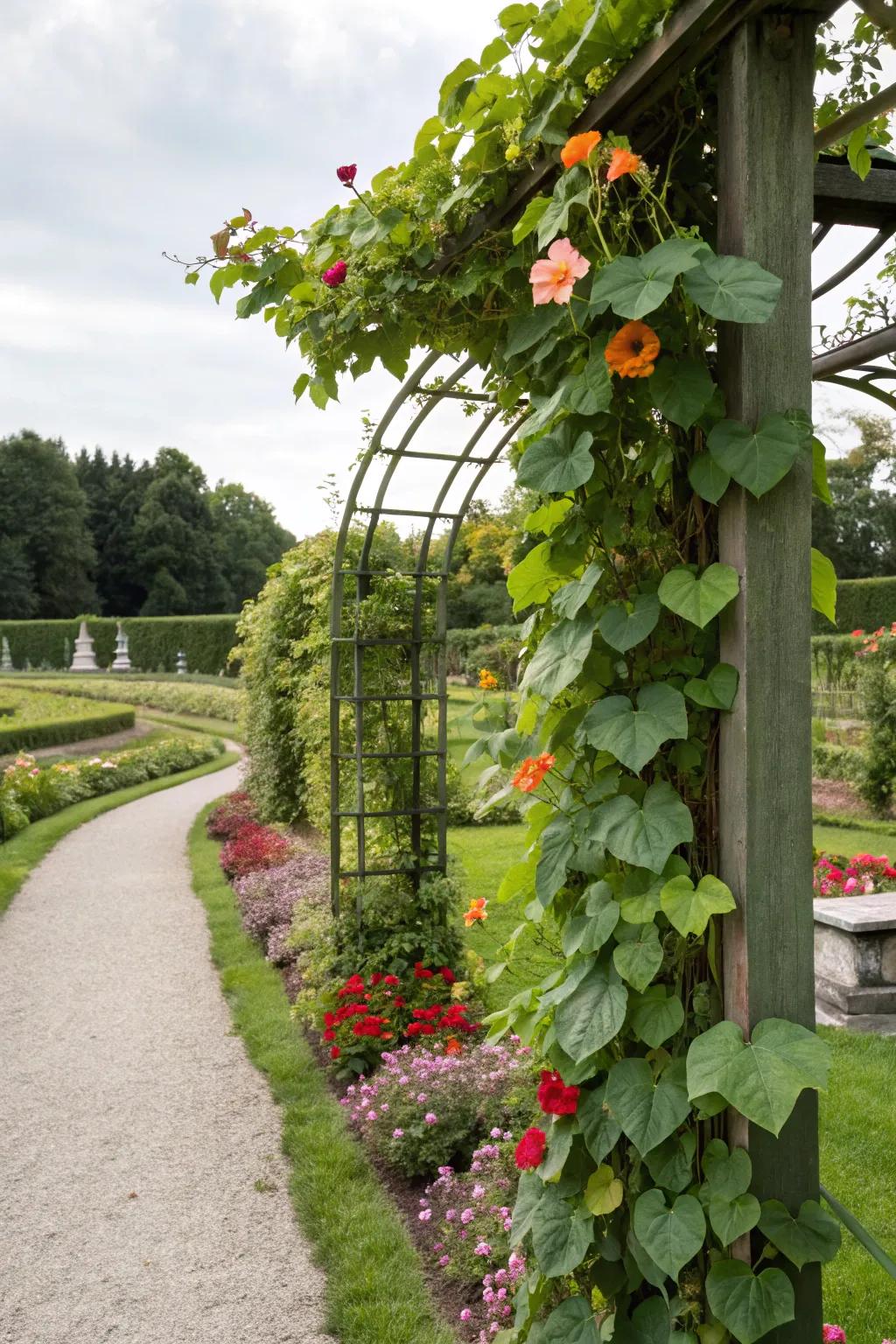 Climbing vines offer vertical interest and lushness to any garden.
