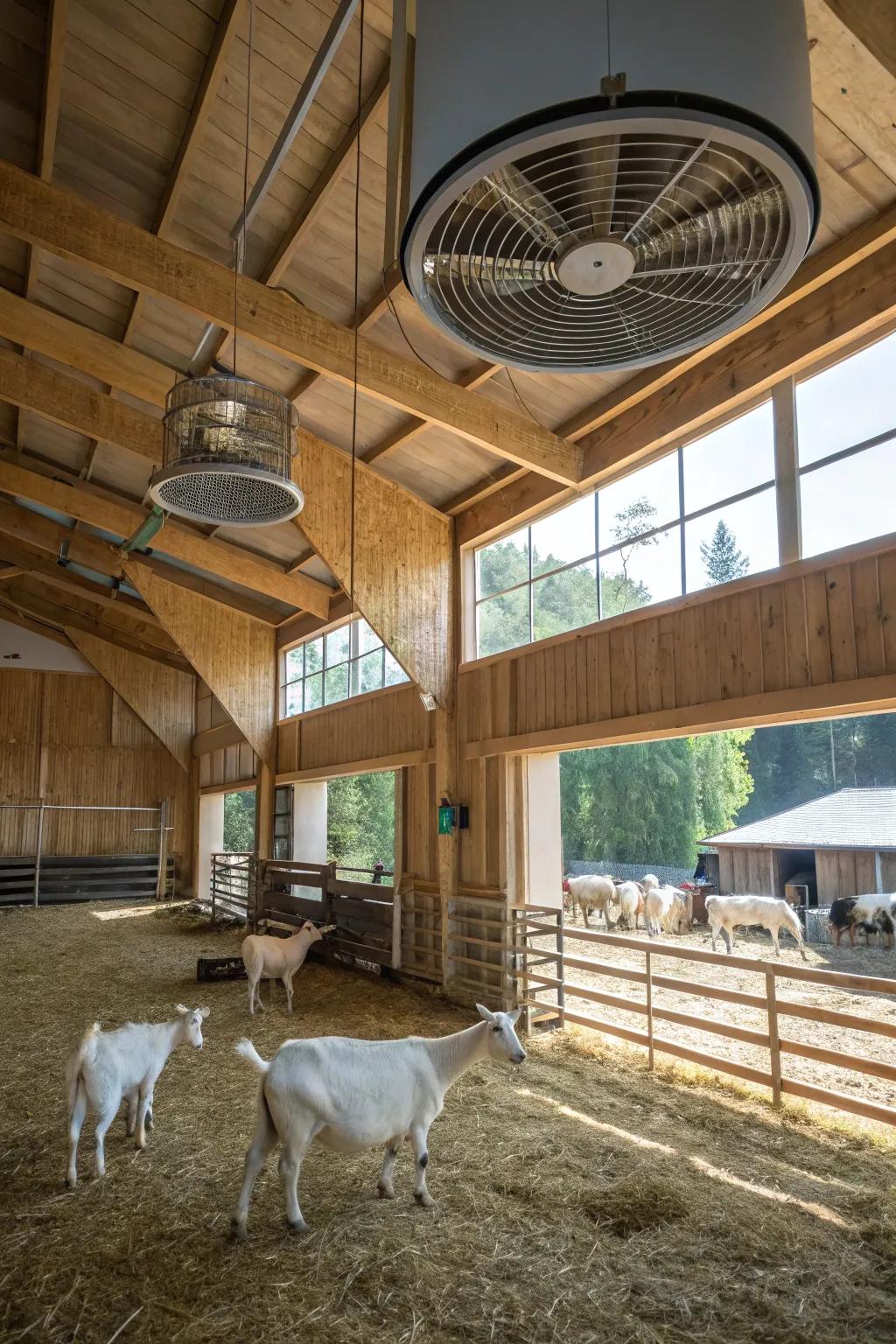 Inventive airflow keeps the air fresh inside this goat barn.