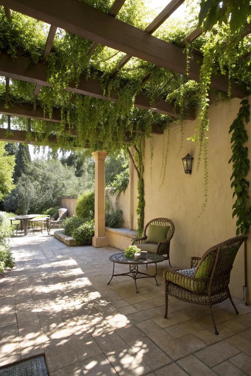 Hanging plants add beauty and shaded areas to outdoor spaces.