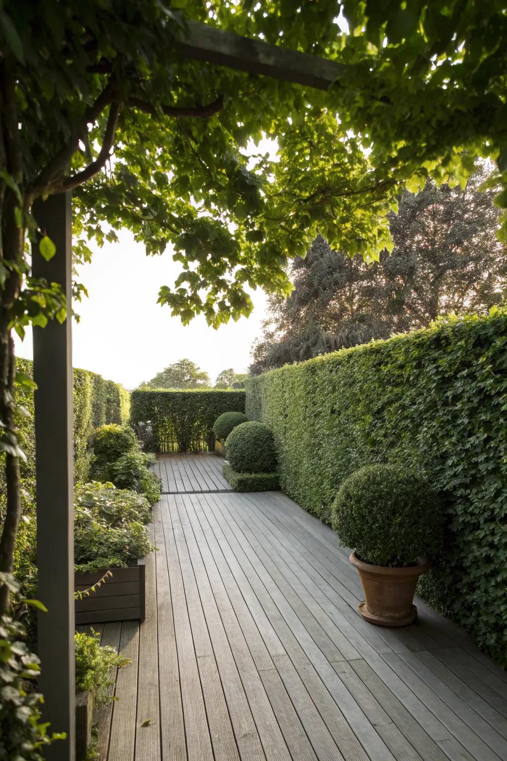 Hedge walls bring natural and eco-friendly shade.