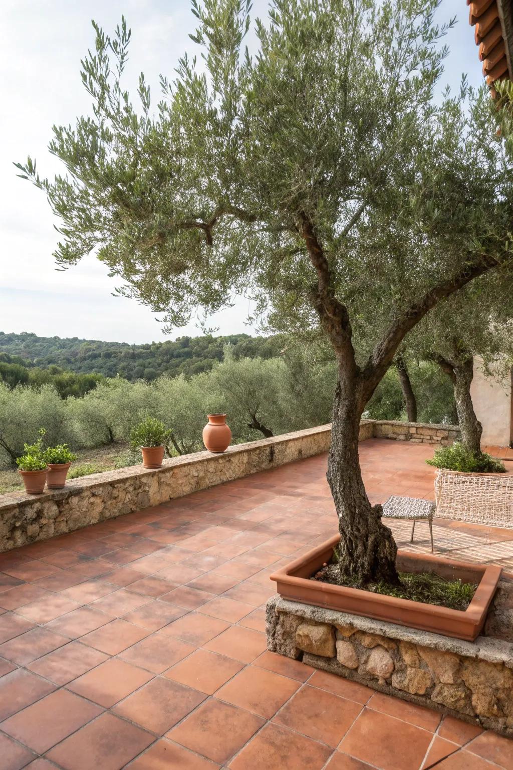 Terracotta ground covers bring warm, Mediterranean vibes.