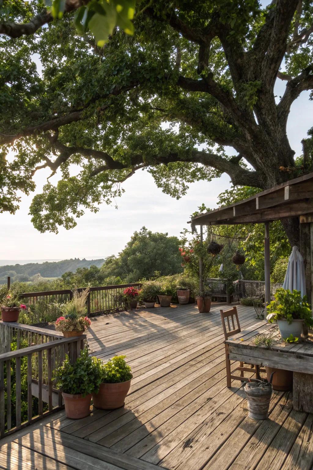 A tree canopy furnishes shade and a inherent backdrop to this deck.