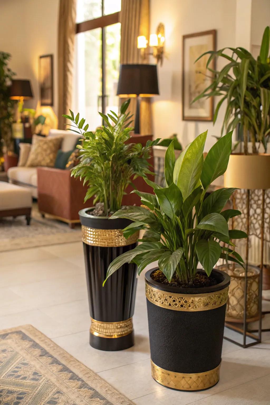 Indoor plants offering a refreshing contrast.