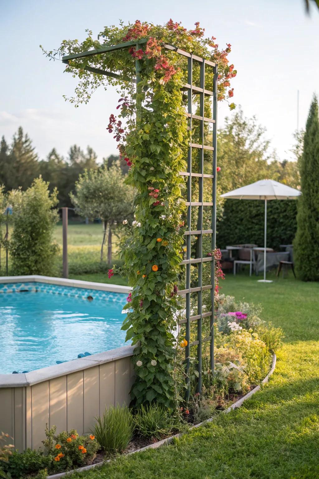 A vertical garden trellis offers privacy and an opulent ambiance.